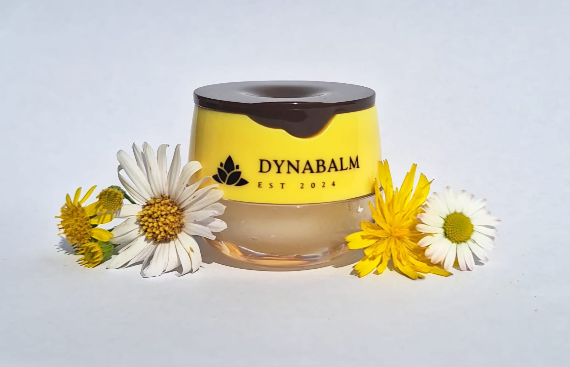 www-dynabalm-nl-honey-lipbalm-pure